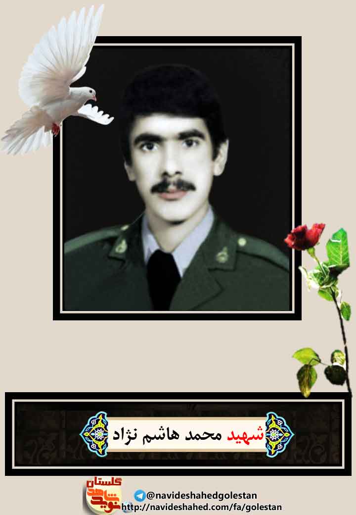 ططط ططط