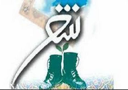 همبال نسیم همبال نسیم