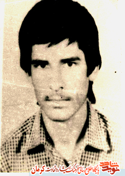 روده هایی در پلاستیک
