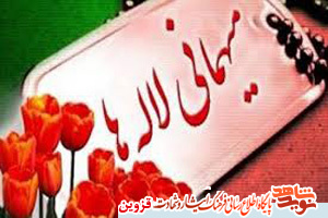 میهمانی لالهها در گلزار شهدای قزوین برگزار میشود میهمانی لالهها در گلزار شهدای قزوین برگزار میشود