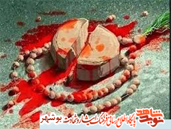 زندگینامه شهید سید حسن حسینی زندگینامه شهید سید حسن حسینی