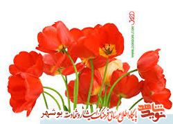 زندگینامه شهید رضا سناپور زندگینامه شهید رضا سناپور