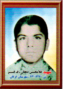 گل سرخی که در آرزوی پرپر شدن بود!