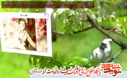 فتوکلیپ/ وصیتنامه شهید سرلشکر «مصطفی پژوهنده»