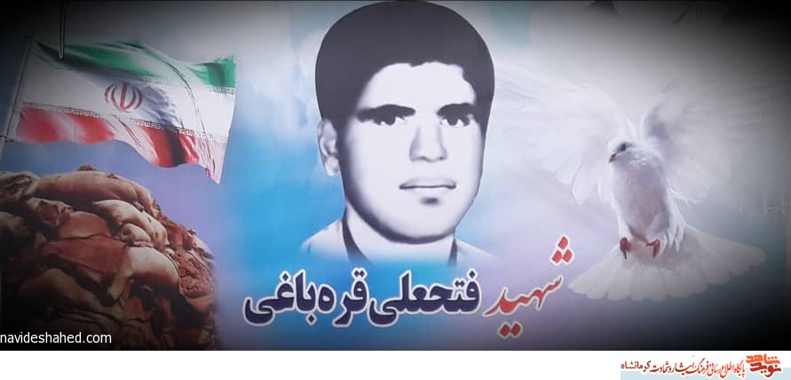 فیلم/ شهید 