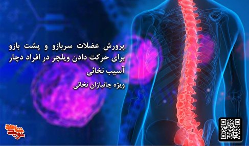نحوه پرورش عضلات برای حرکت دادن ویلچر توسط جانبازان آسیب نخاعی