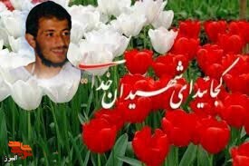 زندگیسردار شهید مجتبی کاظم امینی