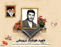 مادر شهید «هوشنگ درویشی» به فرزند شهیدش پیوست