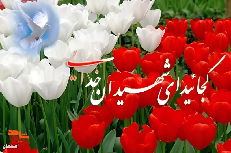 معرفی شهدای شهرستان خمینی شهر معرفی شهدای شهرستان خمینی شهر