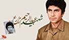 اینفوگرافیک شهید «عبدالرحیم زارع»