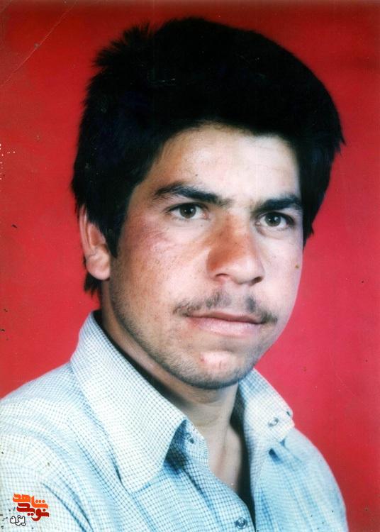 نوید نوید