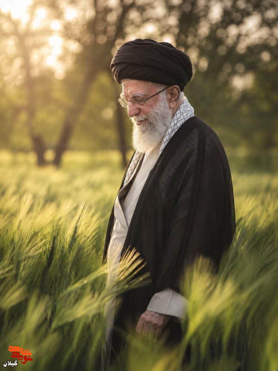 جای خالی‌شان پر نمی‌شود، اما حضورشان جاریست