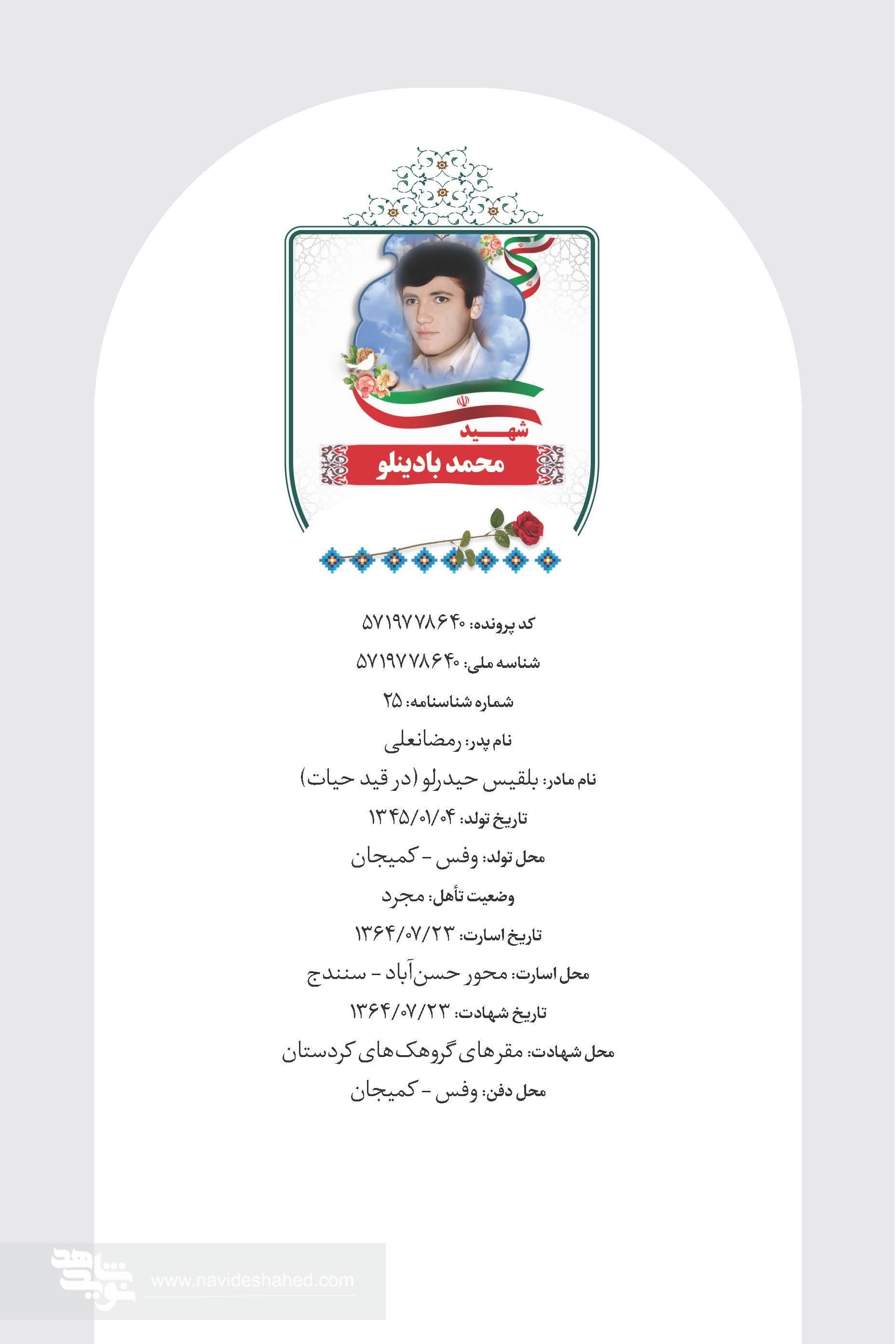 مروری بر زندگی نامه شهید «محمد بادینلو»