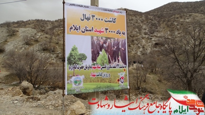 کاشت نهال به مناسبت بزرگداشت روز شهید