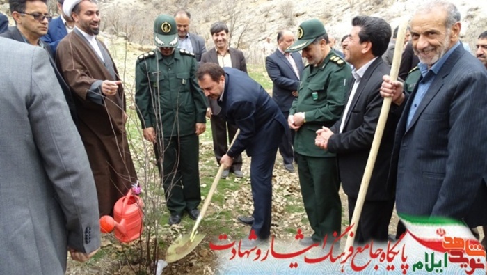 کاشت نهال به مناسبت بزرگداشت روز شهید