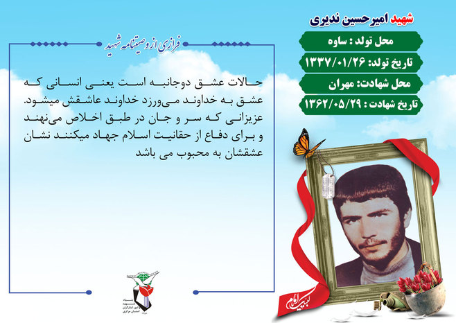 شهید امیرحسین ندیری