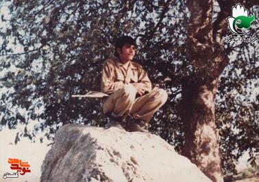 شهید «محمدرضا سمیعی» 
