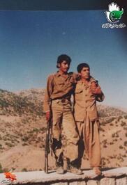 شهید «محمدرضا سمیعی» 